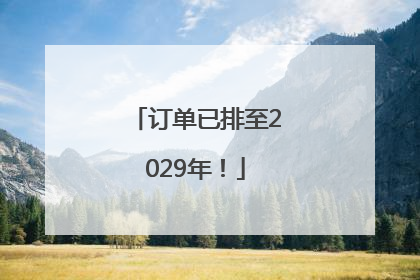 订单已排至2029年！