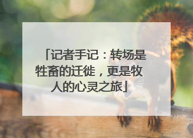 记者手记：转场是牲畜的迁徙，更是牧人的心灵之旅