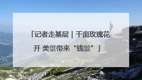 记者走基层｜千亩玫瑰花开 美景带来“钱景”