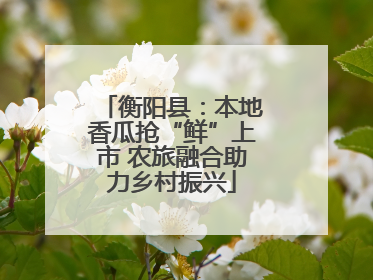 衡阳县：本地香瓜抢“鲜”上市 农旅融合助力乡村振兴