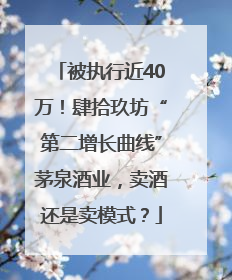 被执行近40万！肆拾玖坊“第二增长曲线”茅泉酒业，卖酒还是卖模式？