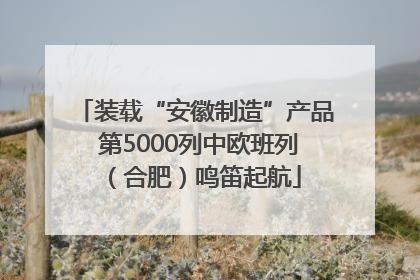 装载“安徽制造”产品 第5000列中欧班列（合肥）鸣笛起航