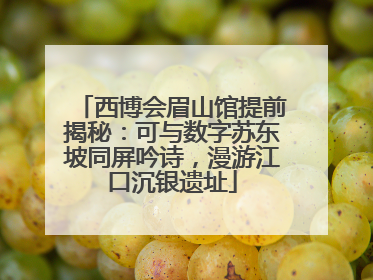 西博会眉山馆提前揭秘：可与数字苏东坡同屏吟诗，漫游江口沉银遗址