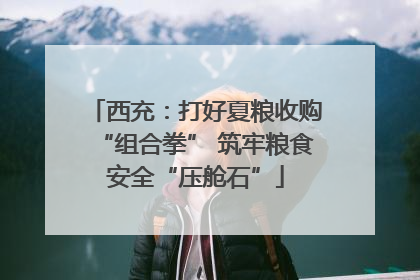 西充：打好夏粮收购“组合拳” 筑牢粮食安全“压舱石”