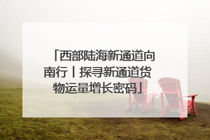 西部陆海新通道向南行丨探寻新通道货物运量增长密码