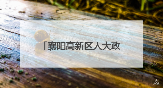 襄阳高新区人大政协办开展魏庄小学“六一”慰问活动