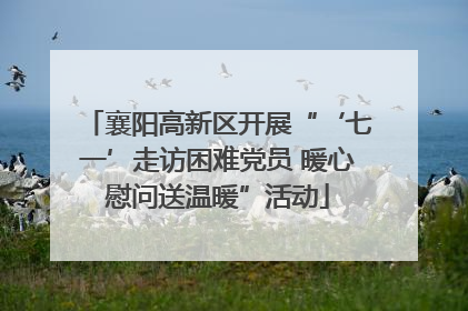 襄阳高新区开展“‘七一’走访困难党员 暖心慰问送温暖”活动