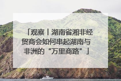 观察丨湖南省湘非经贸商会如何串起湖南与非洲的“万里商路”