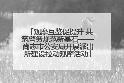 观摩互鉴促提升 共筑警务规范新基石——尚志市公安局开展派出所建设拉动观摩活动