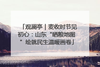 观澜亭｜麦收时节见初心：山东“晒粮地图”绘就民生温暖画卷