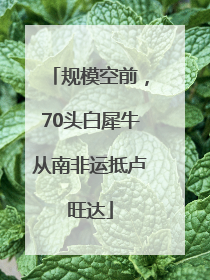 规模空前，70头白犀牛从南非运抵卢旺达