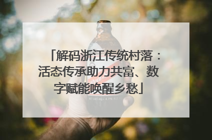 解码浙江传统村落：活态传承助力共富、数字赋能唤醒乡愁