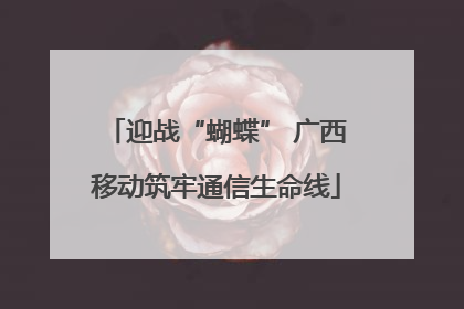 迎战“蝴蝶” 广西移动筑牢通信生命线