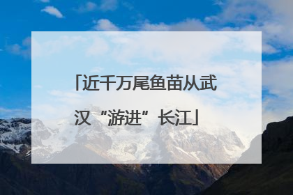近千万尾鱼苗从武汉“游进”长江