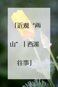 近观“两山”丨西溪往事