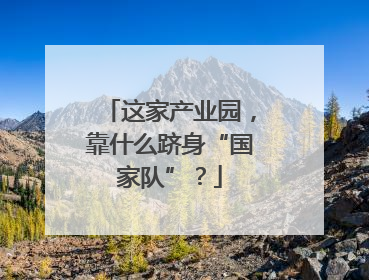 这家产业园，靠什么跻身“国家队”？