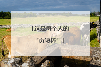 这是每个人的“贡嘎杯”