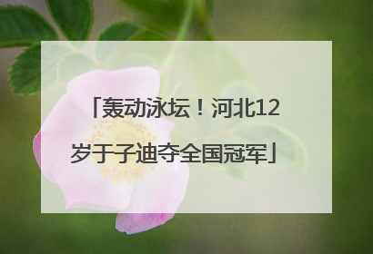 轰动泳坛！河北12岁于子迪夺全国冠军