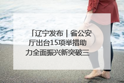 辽宁发布｜省公安厅出台15项举措助力全面振兴新突破三年行动决胜之战