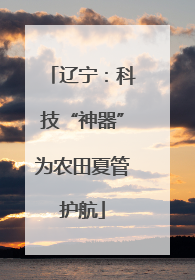 辽宁：科技“神器”为农田夏管护航