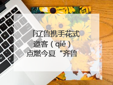 辽鲁携手花式邀客（qiě）点燃今夏“齐鲁风 辽海情”