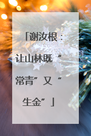 谢汝根：让山林既“常青”又“生金”