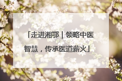 走进湘鄂｜领略中医智慧，传承医道薪火