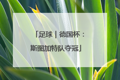 足球｜德国杯：斯图加特队夺冠