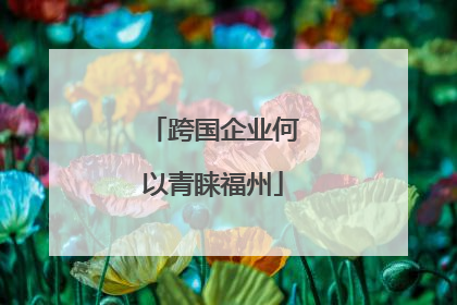 跨国企业何以青睐福州