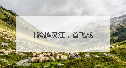 跨越汉江，首飞成功！襄阳无人机9分钟送达医疗标本