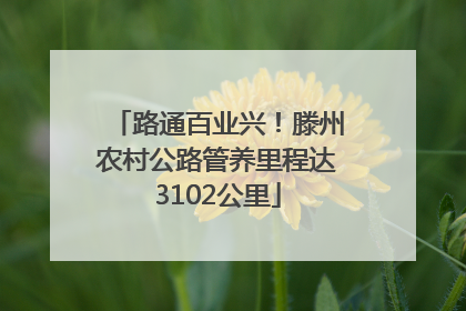 路通百业兴！滕州农村公路管养里程达3102公里