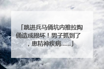 跳进兵马俑坑内推拉陶俑造成损坏！男子抓到了，患精神疾病……
