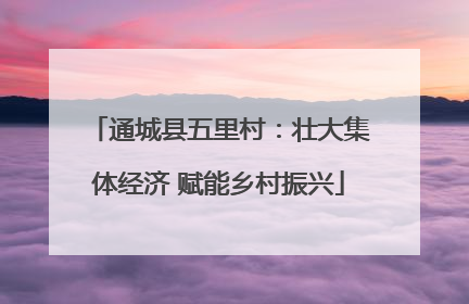 通城县五里村：壮大集体经济 赋能乡村振兴