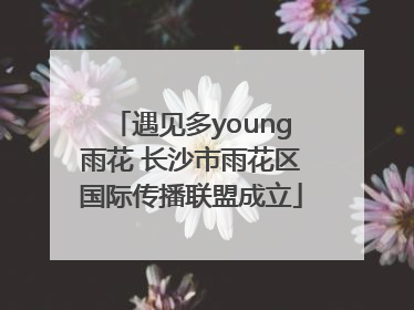 遇见多young雨花 长沙市雨花区国际传播联盟成立