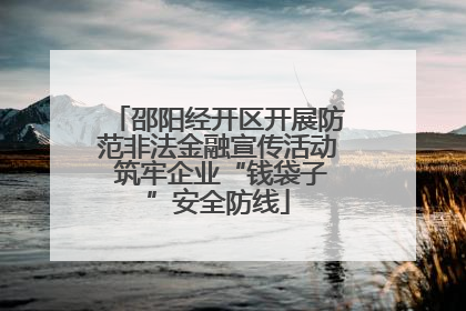 邵阳经开区开展防范非法金融宣传活动 筑牢企业“钱袋子”安全防线