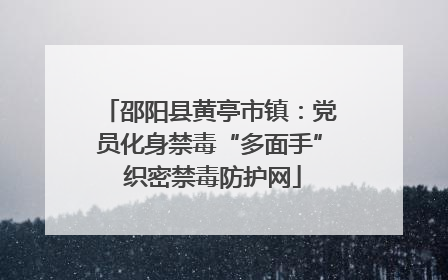 邵阳县黄亭市镇：党员化身禁毒“多面手” 织密禁毒防护网