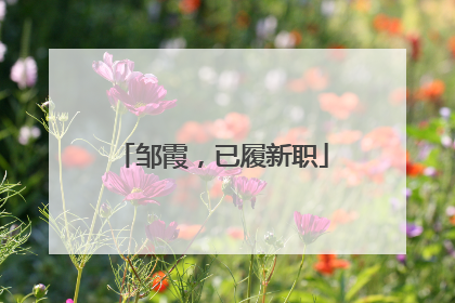 邹霞，已履新职