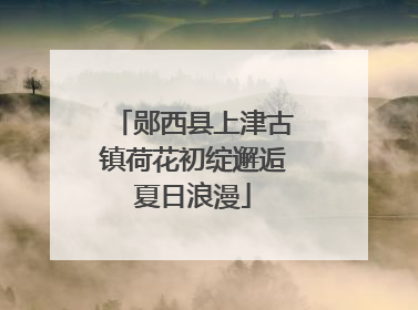 郧西县上津古镇荷花初绽邂逅夏日浪漫