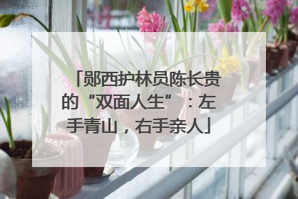 郧西护林员陈长贵的“双面人生”：左手青山，右手亲人