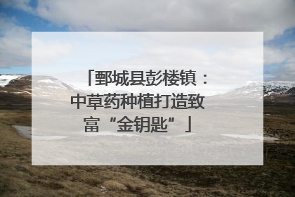 鄄城县彭楼镇：中草药种植打造致富“金钥匙”