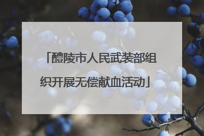 醴陵市人民武装部组织开展无偿献血活动