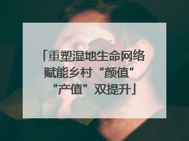 重塑湿地生命网络 赋能乡村“颜值”“产值”双提升