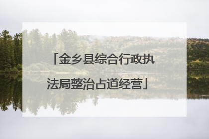 金乡县综合行政执法局整治占道经营