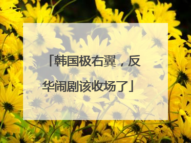 韩国极右翼，反华闹剧该收场了