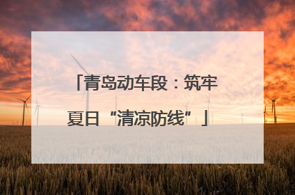 青岛动车段：筑牢夏日“清凉防线”
