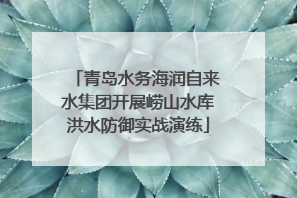 青岛水务海润自来水集团开展崂山水库洪水防御实战演练