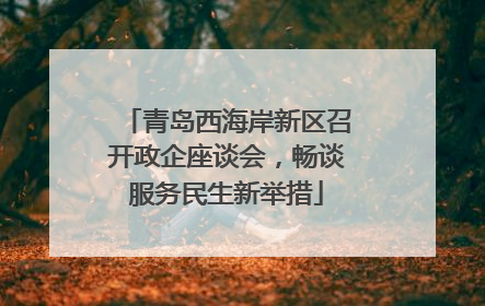 青岛西海岸新区召开政企座谈会，畅谈服务民生新举措