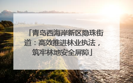 青岛西海岸新区隐珠街道：高效推进林业执法，筑牢林地安全屏障