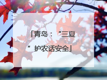 青岛：“三夏”护农话安全