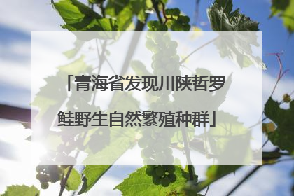青海省发现川陕哲罗鲑野生自然繁殖种群